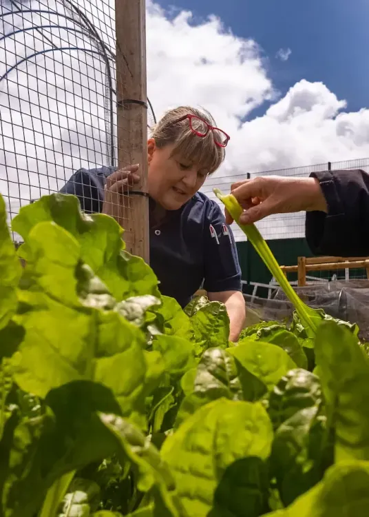 Bringing the garden to the plate at Oasis Academy Mayfield